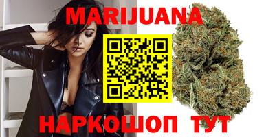 индика Лесосибирск