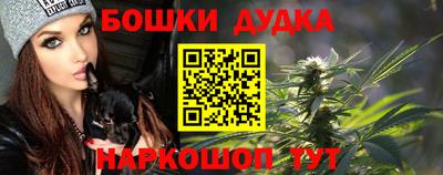 индика Лесосибирск