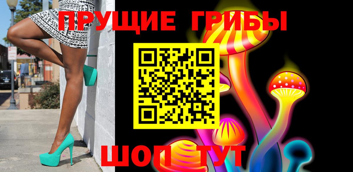 Гусь-Хрустальный  Псилоцибиновые грибы MAGIC MUSHROOMS  Вход с VPN 